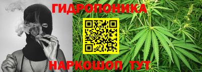 spice Дубна