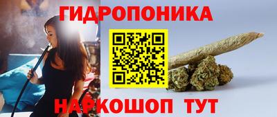 spice Дубна