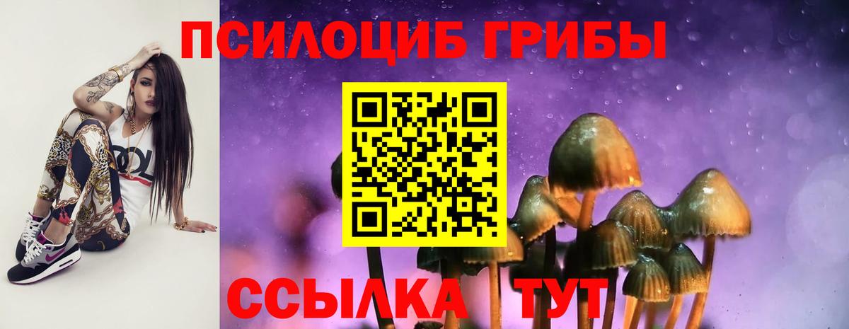 Галлюциногенные грибы мицелий  Псилоцибиновые грибы GOLDEN TEACHER  Вход с VPN  Нарткала 